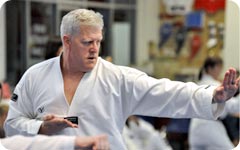 adult martial arts