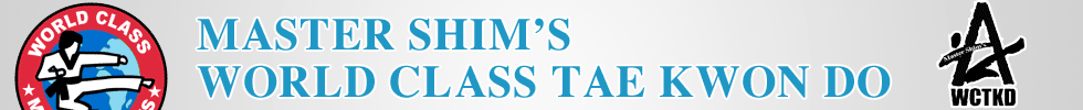 Atlanta GA martial arts classes - Master Shim's Tae Kwon Do