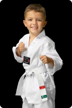 preschool taekwondo class